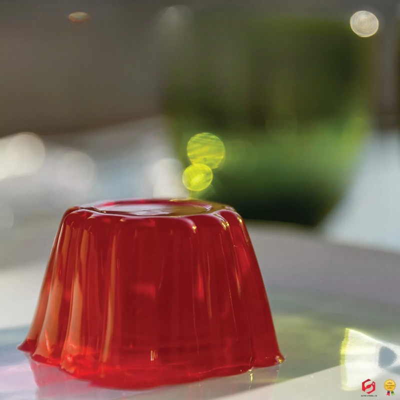 Pudding Cake Mold with Lid DIY - Baby Food Bites ulasan dan harga