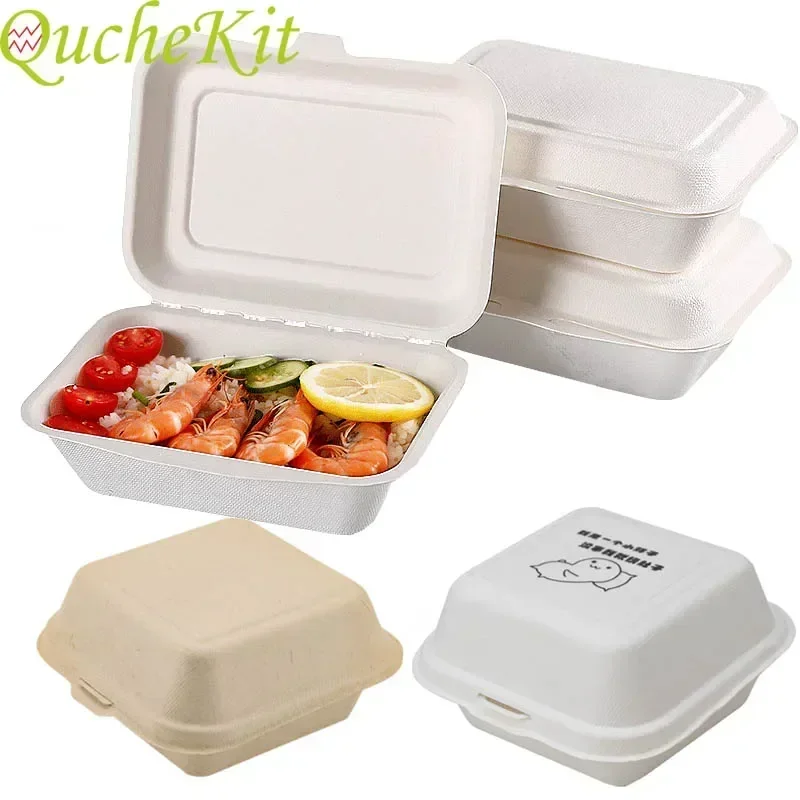 Disposable Eco-Friendly Lunch  - Baby Food Prep Containers ulasan dan harga